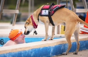 charity hund sehbehinderte schwimmerin