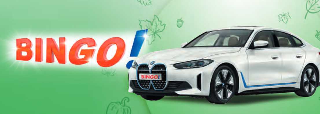 Bingo Sonderauslosung 2023 BMW i4